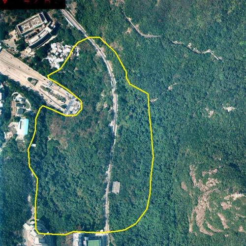 Nam-fung woodland.jpg Nam-fung woodland.jpg